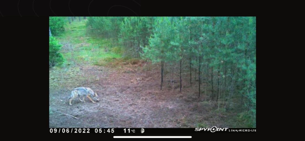 Jagd-Angler-Suite-04-Im-Wald-Am-See Киріц Екстер'єр фото